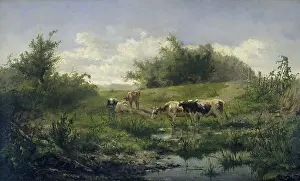 Herbivores: Cows at a Pond