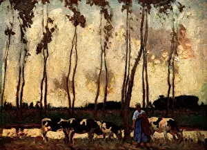 Hankey: Cows By The River