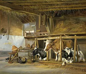 Stale: Cows in a Stable