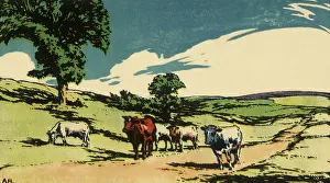 Hazy: Cows on a Sunny Day