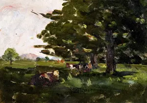 Nathaniel: Cows under Trees