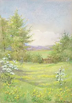Cowslip: The Cowslip Meadows - Gardens