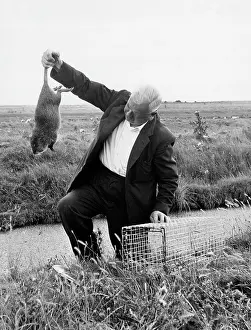 Coypu: COYPU TRAPPING