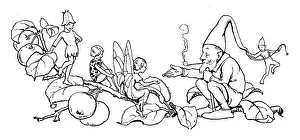 Dwarfs: Crab-Apple Fairies and Dwarf