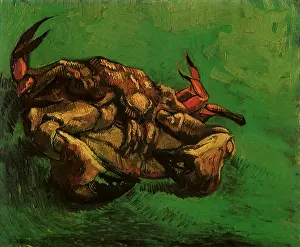 Shellfish: Crab on Its Back, by Van Gogh