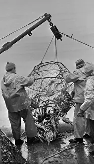 Kamchatka: Crab Catching