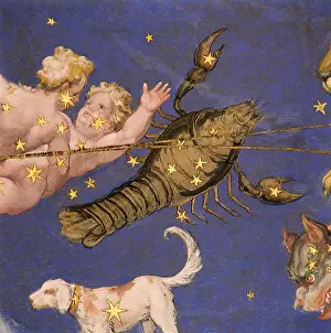 Gratitude: Crab Constellation