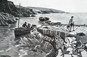 Crab: Crab fishermen at work, Gerran's Bay, Cornwall