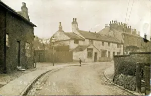 Crab: Crab Lane