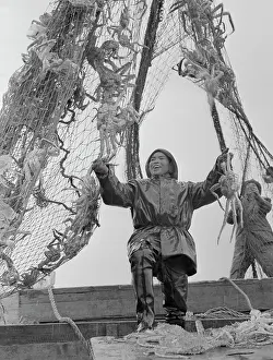 Kamchatka: Crab Seiner number 105
