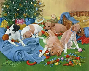 Winnie: Crackers ? five puppies
