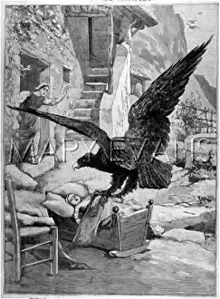 Snatching: CRADLE-SNATCHING EAGLE