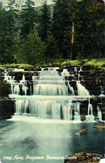 Barnard: Crag Force, Deepdale, County Durham