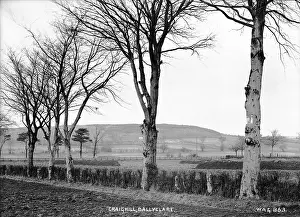 Ballyclare: Craighill, Ballyclare