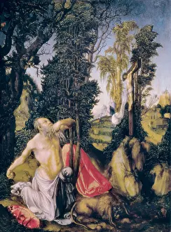 Penitence: Cranach, Lucas, the Elder (1472-1553)