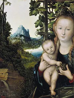 Municipalities: Cranach, Lucas, the Elder (1472-1553). Madonna