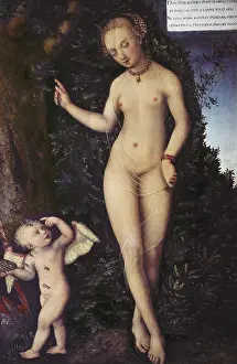 Amor: Cranach, Lucas the Young