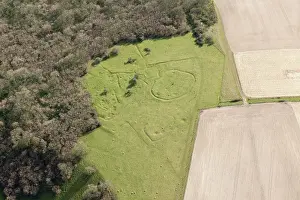 Cranborne: Cranborne Chase, Wiltshire