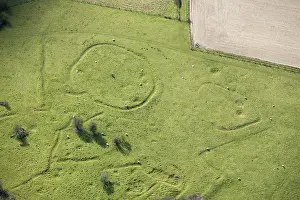 Cranborne: Cranborne Chase, Wiltshire