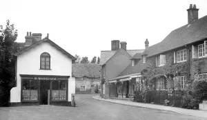 Cranborne: Cranborne, the Square 1954