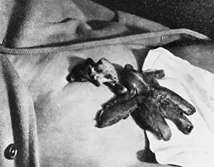 Sitters: CRANDON EXUDES ECTOPLASM