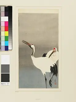 Koson: Cranes