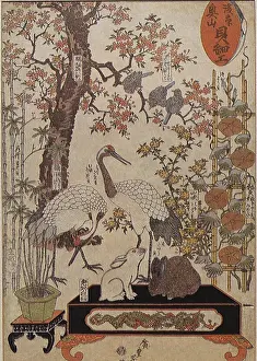 Potted: Cranes, Rabbits by Tree, by Hiroshige