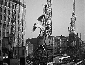 Cranes and warehouses on the River Thames