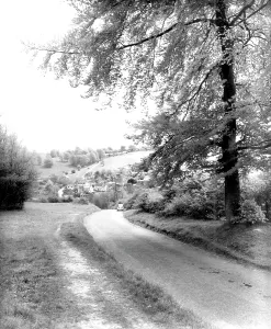 Cranham: Cranham, c1955