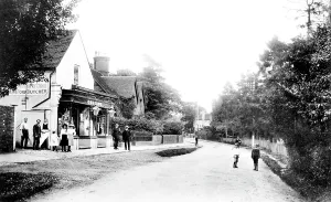 Cranleigh: Cranleigh, the Shop 1906