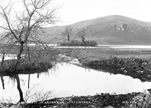 Limerick: Crannogue in Lough Gur, Co Limerick