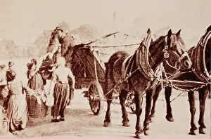 Crap: Crap farmer with his horse cart
