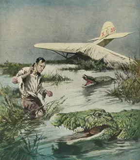 Anyone: CRASH AMID CROCODILES