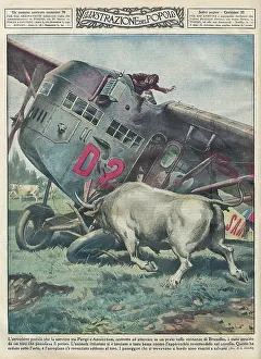Crashes: CRASH AND BULL
