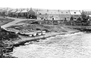 Craster: Craster, the Harbour 1951