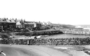 Craster: Craster, the Harbour 1964