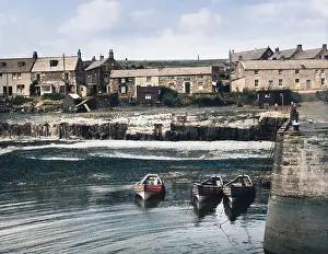 Kippers: CRASTER, NORTHUMBERLAND