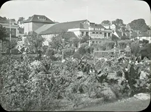 Crayford Gardens and Ritz