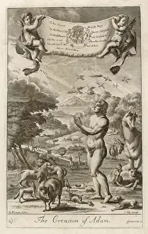 Saul: CREATION OF ADAM