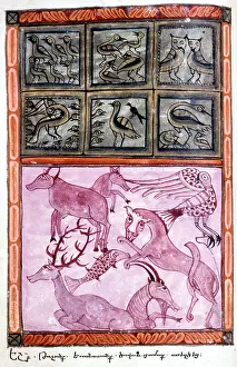 Evangelistery: Creation of the animals. Bible: Genesis. Old Testament
