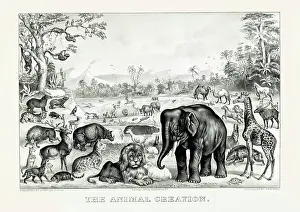 Heavenly: Creation of animals in the Garden of Eden, from