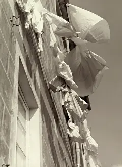 Linens: Creative