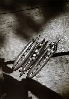 Legumes: Creative