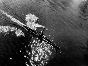 Sculling: Creative