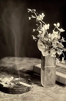 Cyclamen: Creative