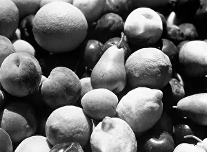 Apricot: Creative
