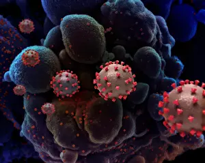 Sars: Creative NIAID illustration of SARS-CoV-2 virus