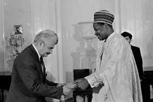 Niger: Credentials presented