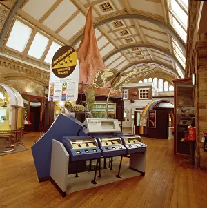 Creepy: Creepy Crawlies exhibition