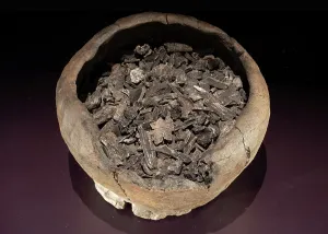 Deposited: Cremated bones, Swedish History Museum, Stockholm, Sweden